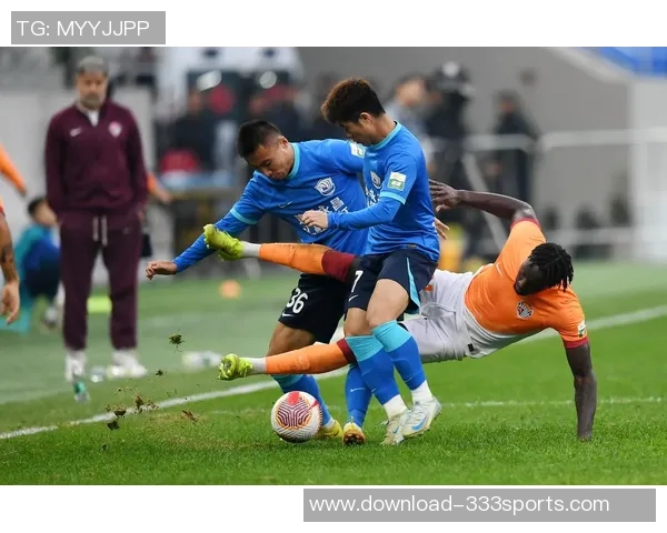 足球雄狮王的传奇之路与背后的奋斗精神探秘